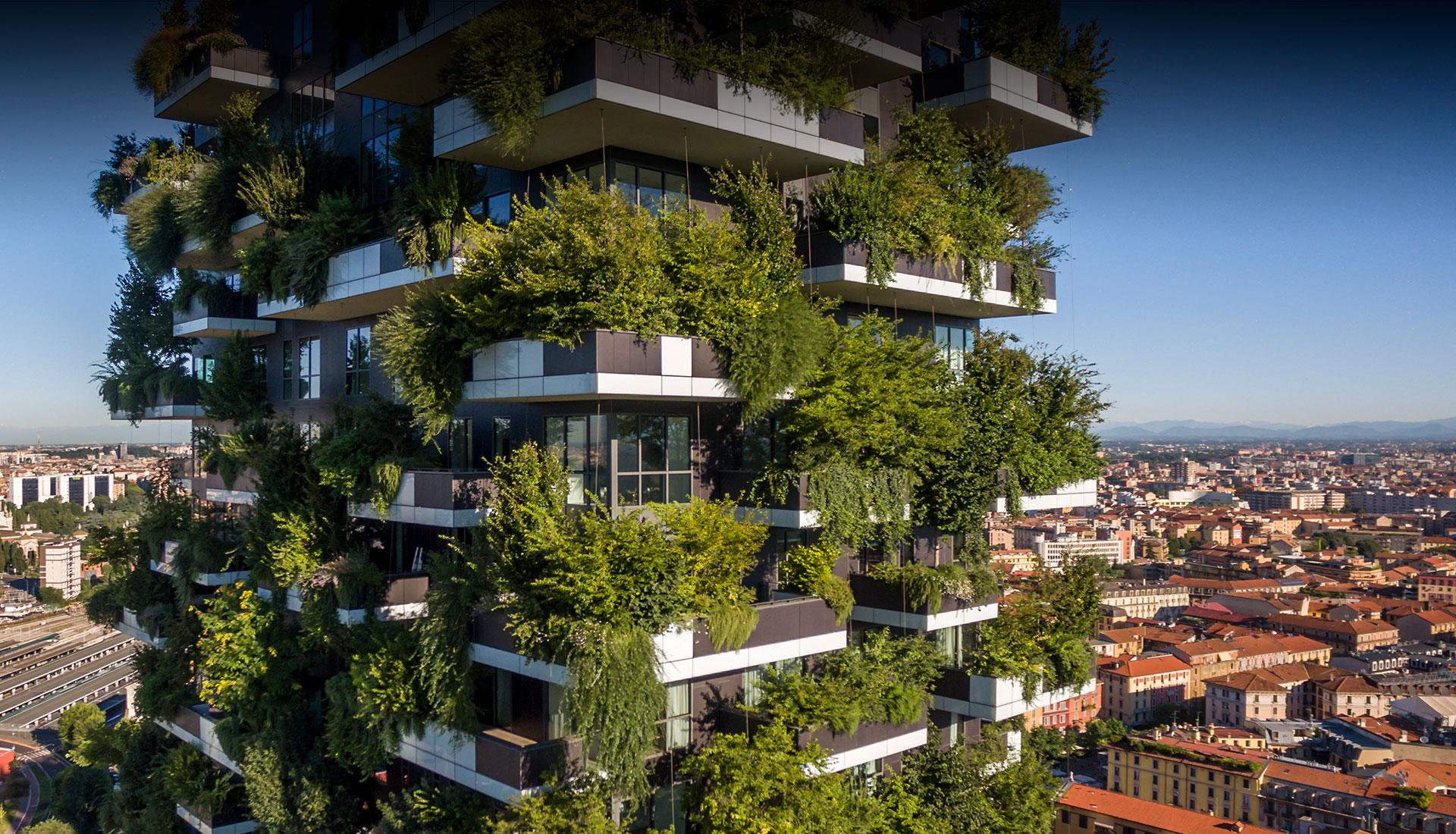 Bitkisel Bir Söyleşi / 2. Bölüm