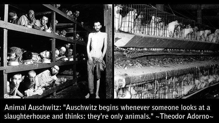 GÜÇLÜ GÜÇSÜZ İLİŞKİSİ ÜZERİNE