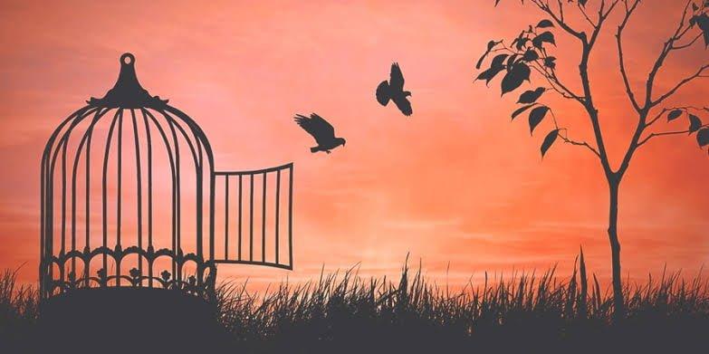 Özgürlük Üzerine - 1