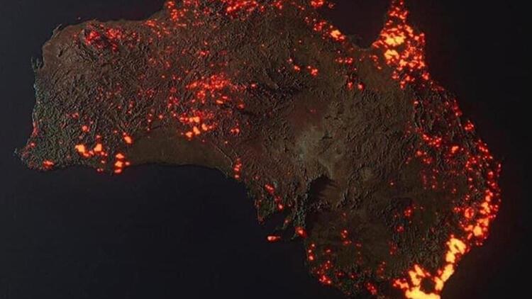 Bitkisel Bir Söyleşi / 11. Bölüm