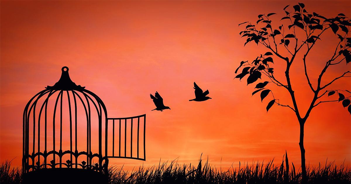 GÜNDÜZ VAKTİ ELİNE FENERİ ALIP İNSAN ARAYANLARA SELAM OLSUN!