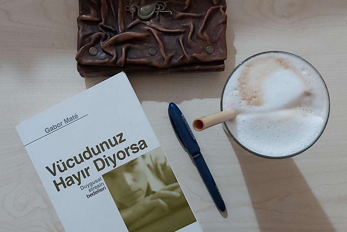 GABOR MATE İLE ZİHİNDEN FİZİĞE YOLCULUK-II