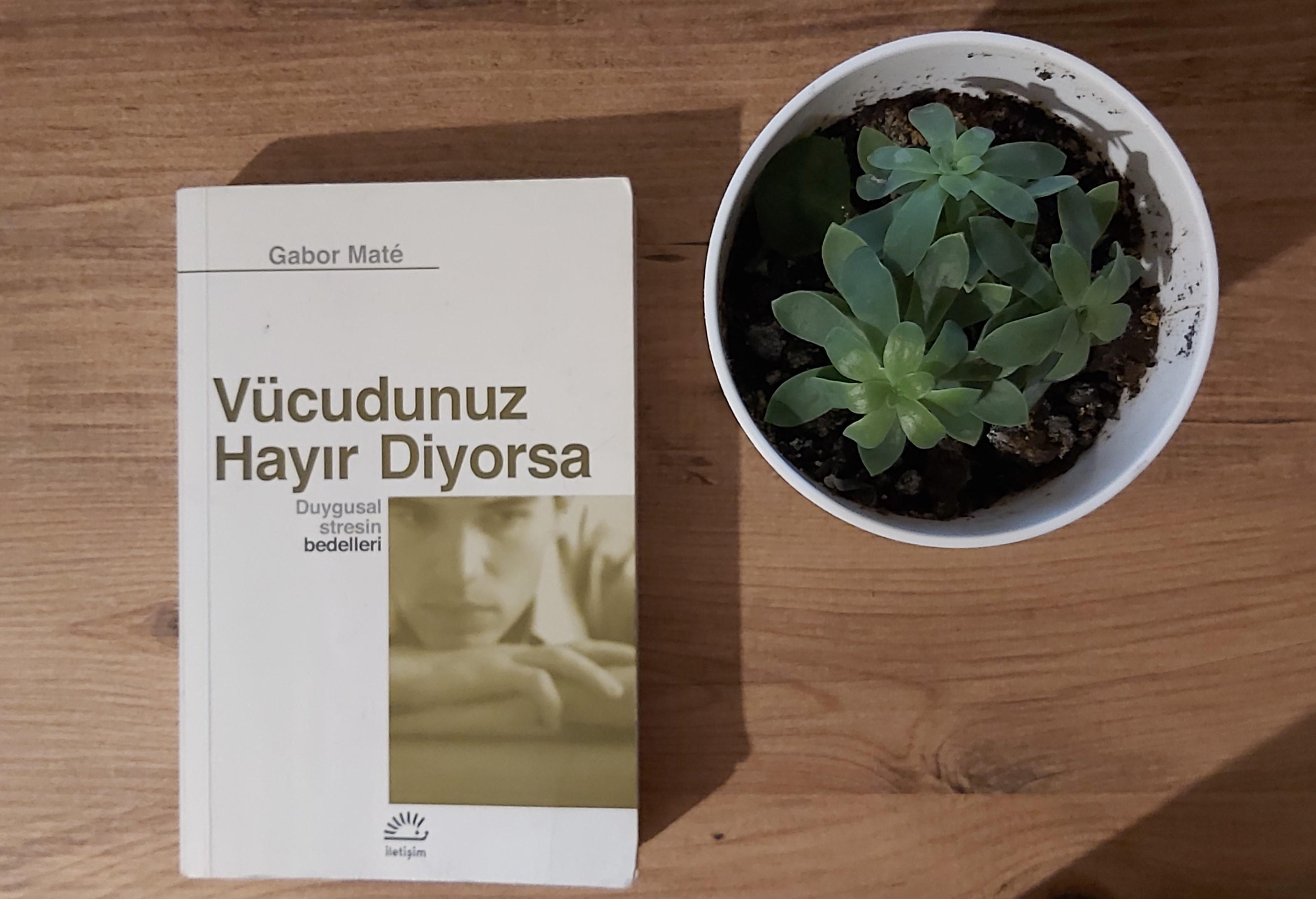 GABOR MATE İLE ZİHİNDEN FİZİĞE YOLCULUK-III