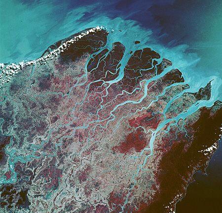 Bakış Açısı Sizin İçin Ne İfade Eder?