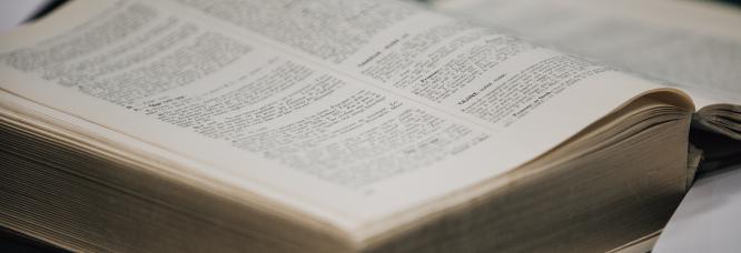 Fransızcanın Non-Binary Zamiri