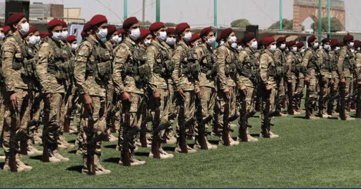 MSB'den Cinsel Hayat Yönetmeliği