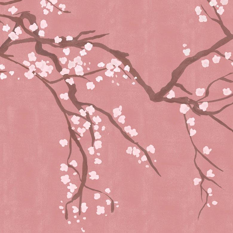 Japonya'nın Narin Çiçeği: Sakura