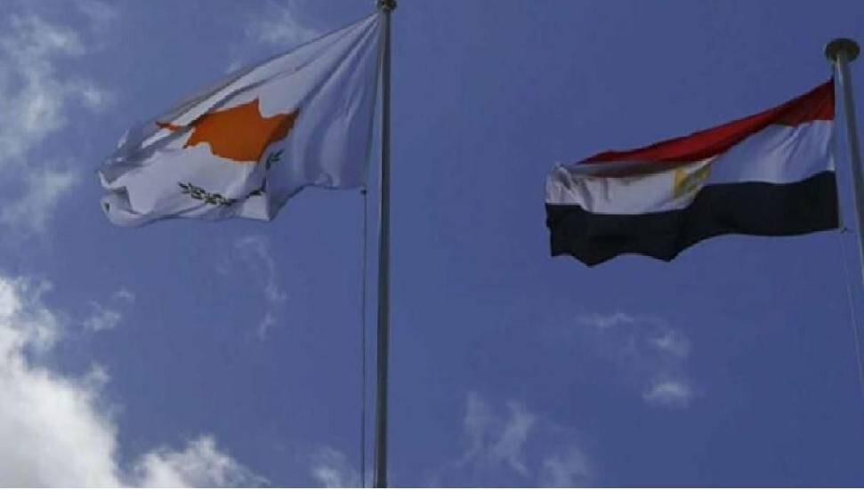 Mısır Dışişleri Bakanı: Türkiye'nin Planına Karşı Güney Kıbrıs'ı Destekliyoruz