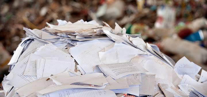 Ağaç Kesmeden Kâğıt Üretmek Mümkün Mü ?