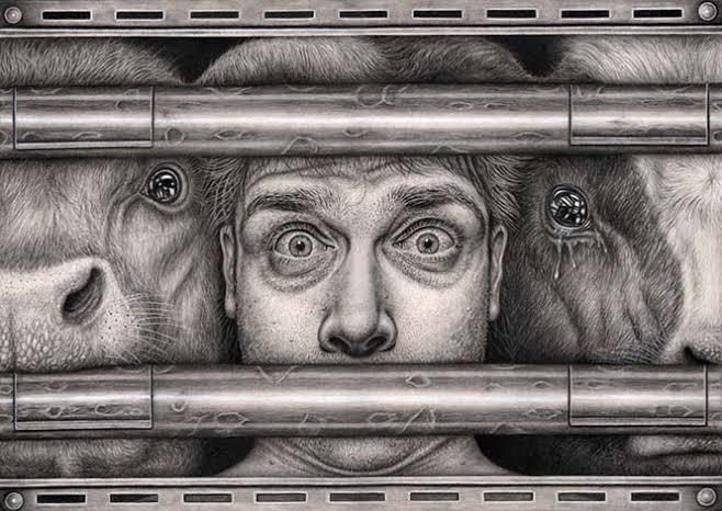 Biyoetik Bir Yaklaşım Olarak Veganlık