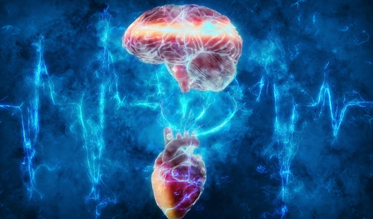 Kalbinin Sesini Dinlemek