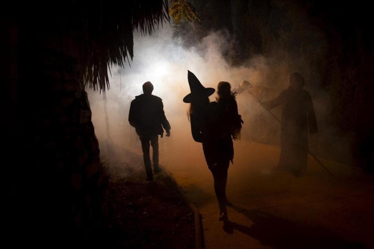 Katalonya, Cadı Diye Öldürülen Çoğu Kadın Bin Kişiden Özür Diledi