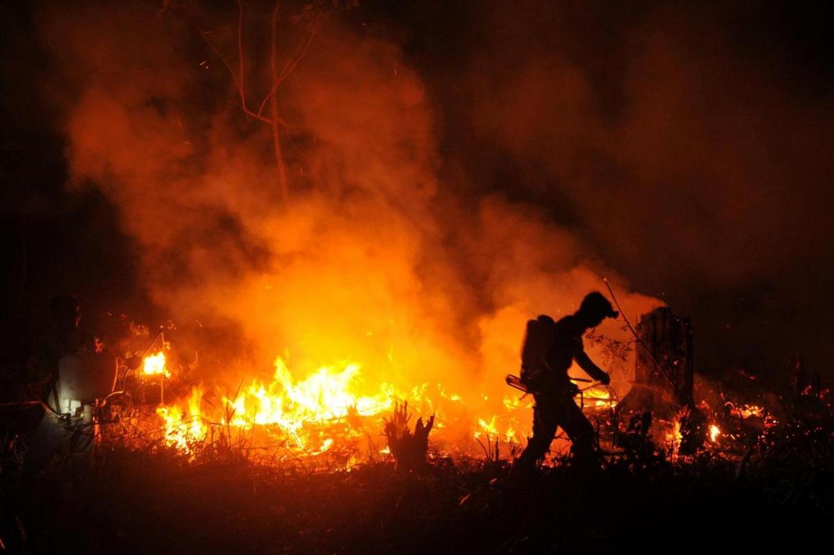 Japonya'da Orman Yangınlarına 'Sabun Köpüklü' Çözüm