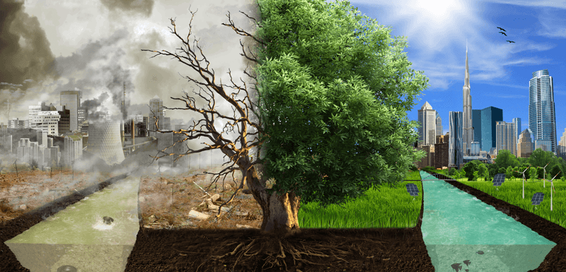 Eco-Apartheid in African-American Communities