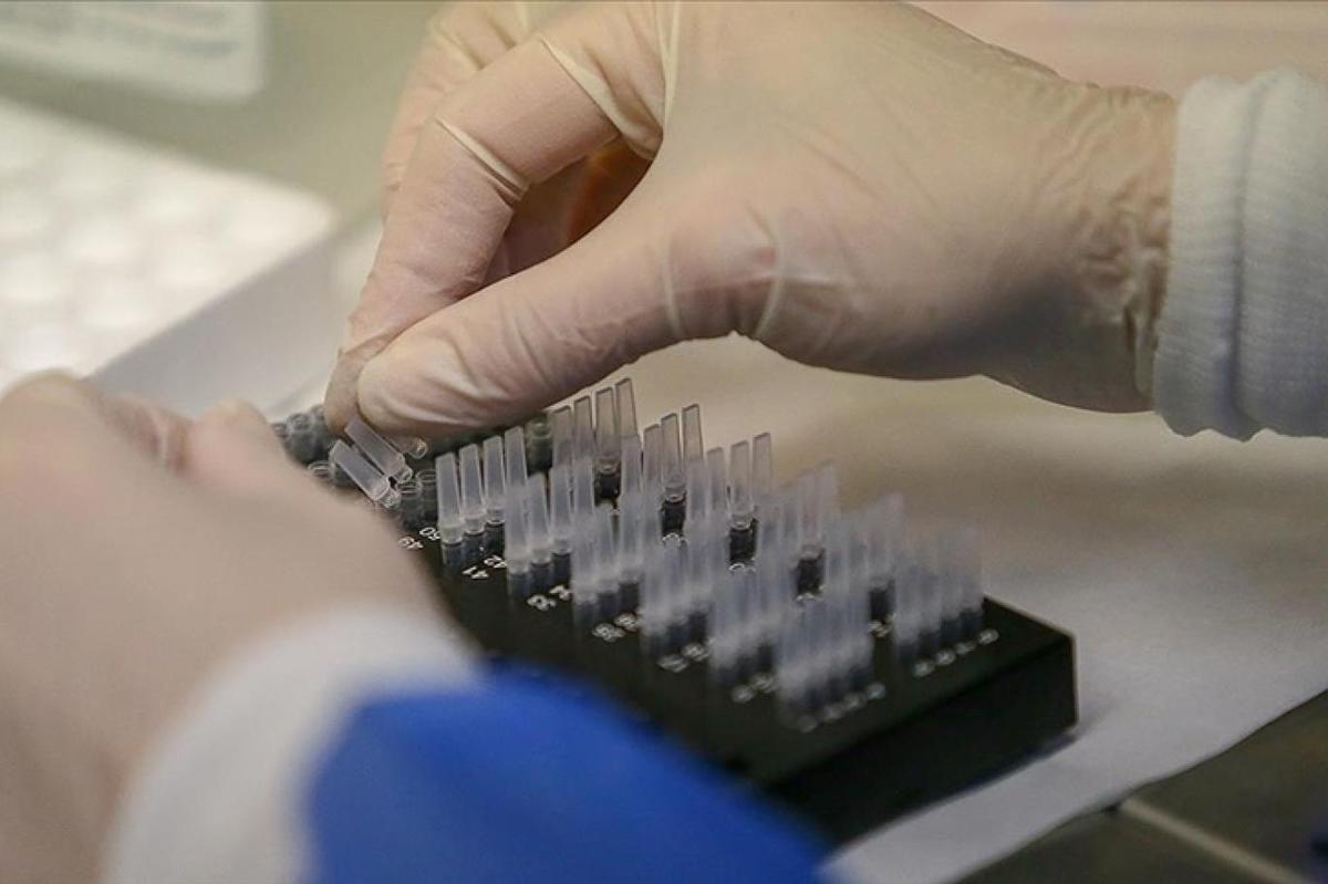 Gizemli Hepatit Vakalarının Yükselişi!