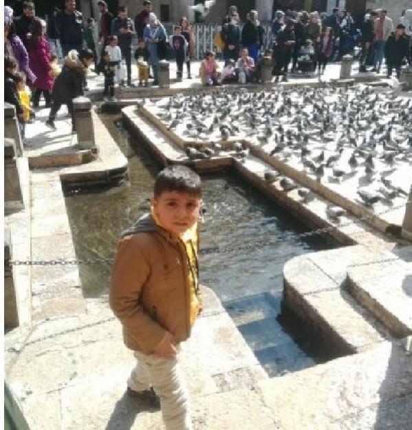 Otobüsün Çarptığı Mehmet Yaşamını Yitirdi