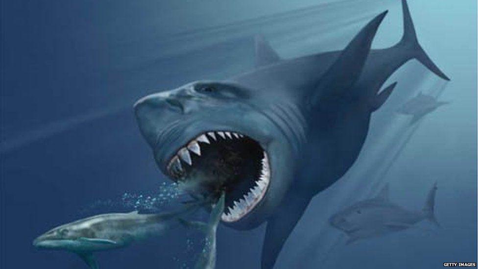 Altı yaşındaki çocuk, Bawdsey sahilinde dev megalodon köpekbalığı dişi buldu