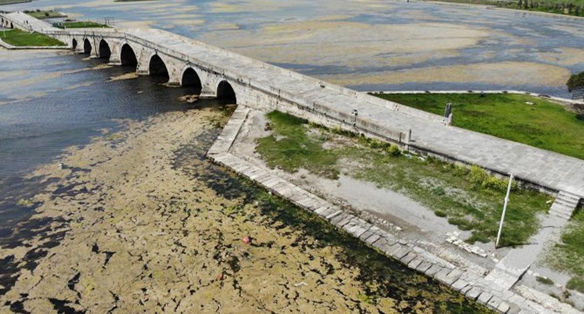 Büyükçekmece Gölü'nde Artan Yosun Tabakası!