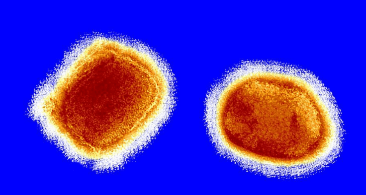 Maymun Çiçeği Virüsü Yeni Ülkelere Sıçradı