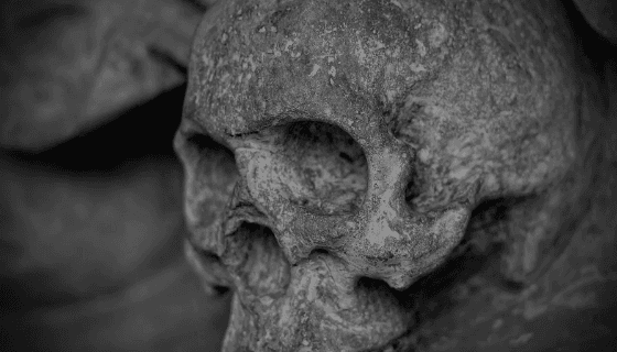 "Büyük Şok": Minnesota Nehri'nde 8.000 Yıllık Olduğu Tahmin Edilen Kafatası Bulundu