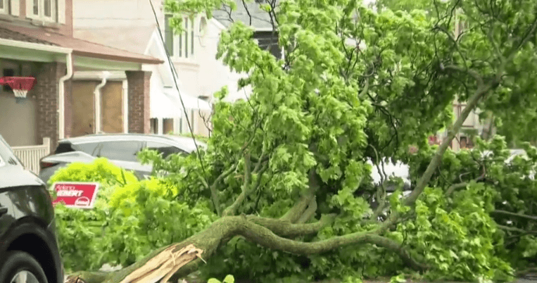 Kanada'daki Şiddetli Fırtına Elektrikleri Kesti