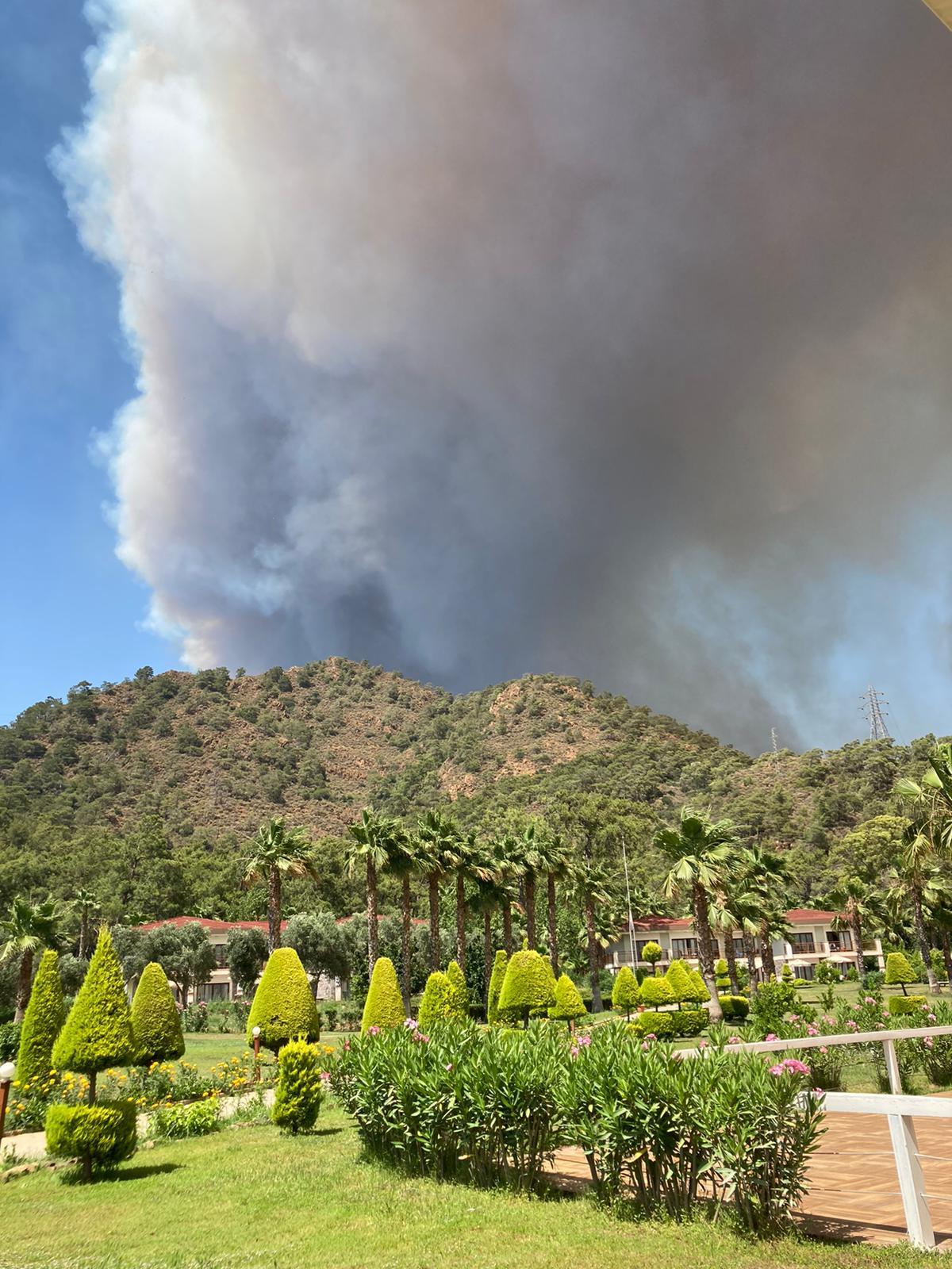 Ciğerlerimiz Yanıyor: Marmaris'te Yangın