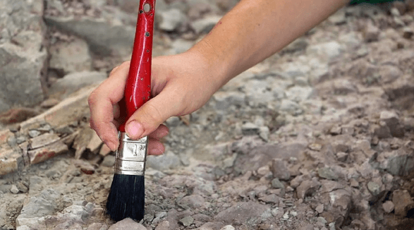 İngiliz Paleontologlardan Çarpıcı Buluş