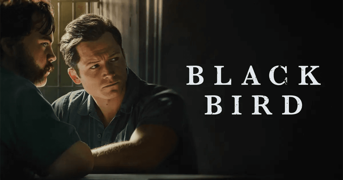 Black Bird incelemesi