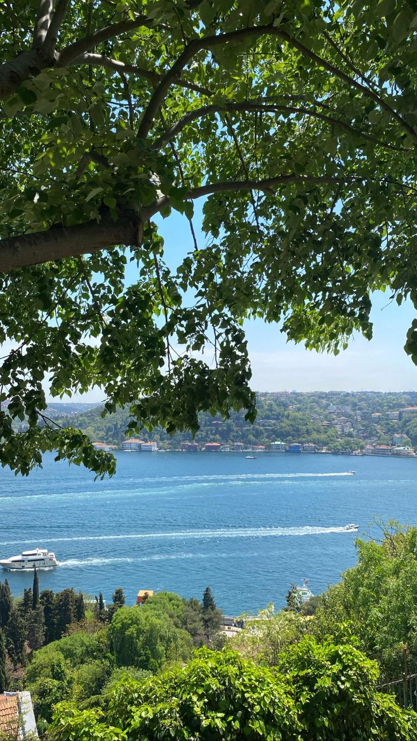 Susuşta Haykırış