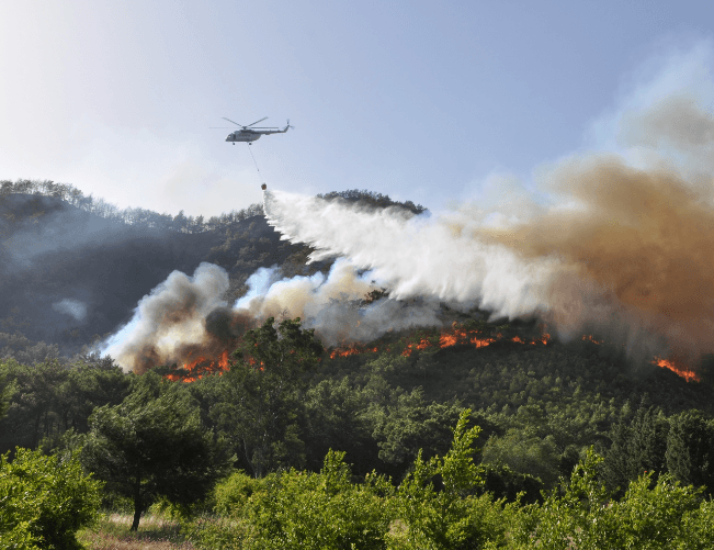Küresel İklim Krizinde Orman Yakma Suçu
