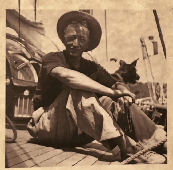 Sait Faik Abasıyanık-Son Kuşlar Kitabı Hakkında