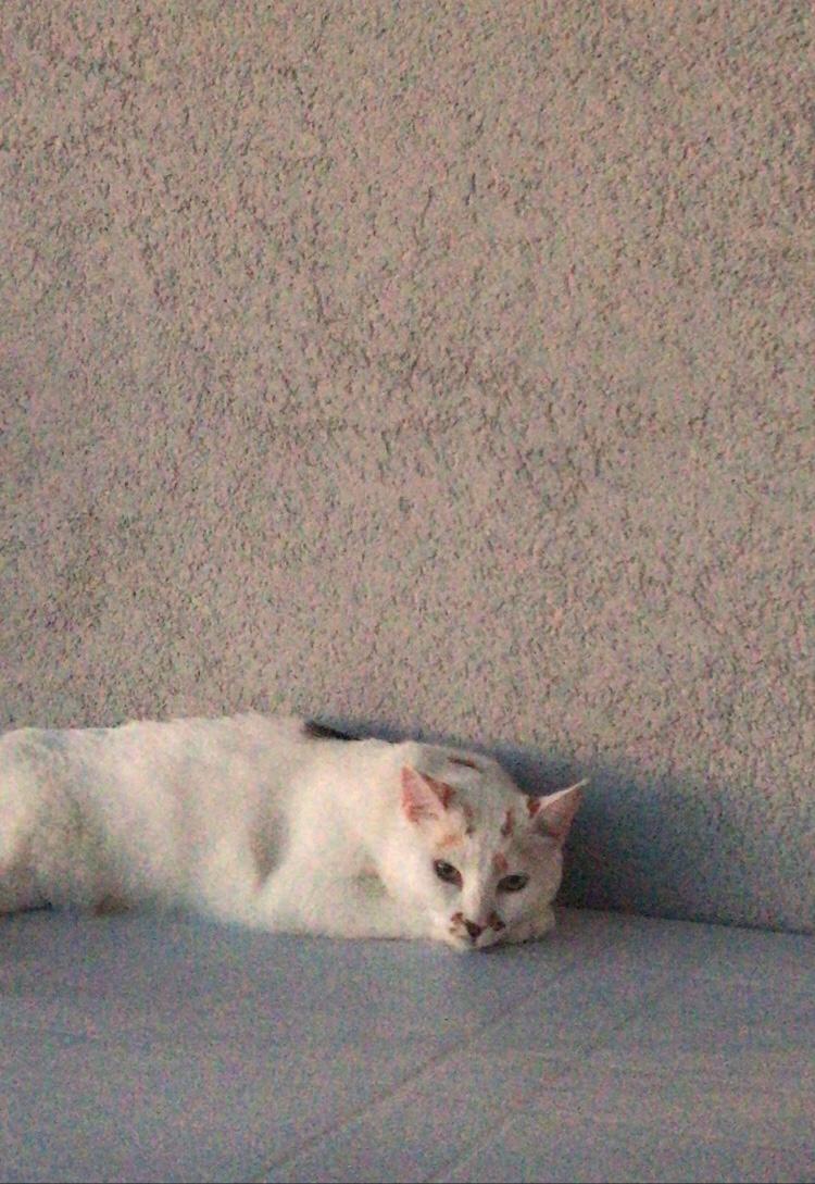 Hikayeni Görüyor Musun?