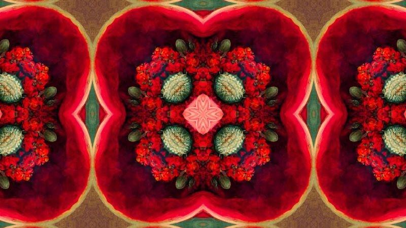 Amerikan Hastanesi Sanat Ve Teknolojiyi Bir Araya Getirdi