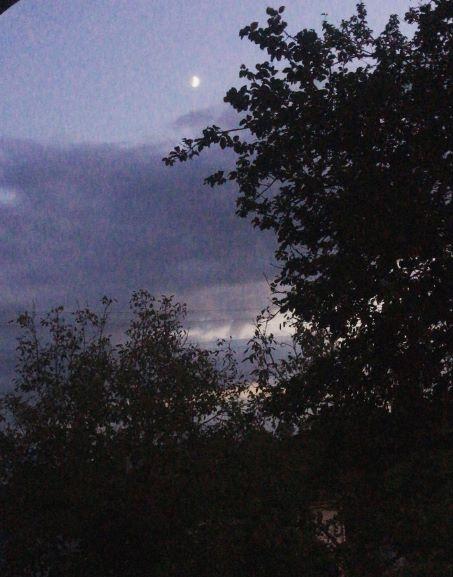 Mükemmellik İllüzyonu