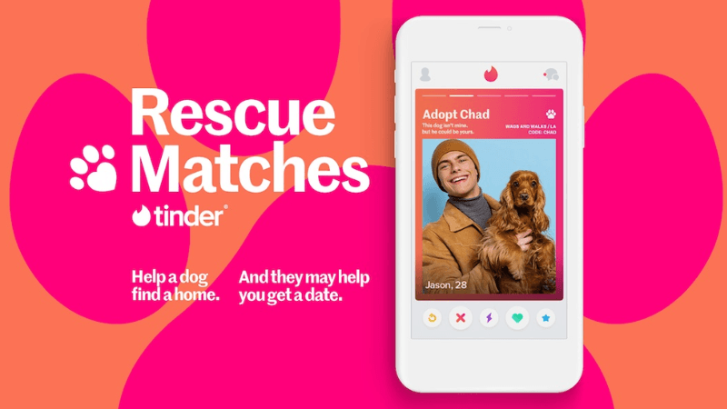 Patili Ruh Eşinizle Eşleştiren Uygulama