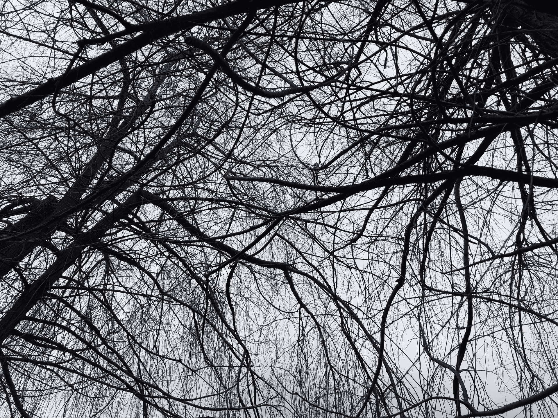 Geri Dönüş Sağlanmayan Olumsuz İş Başvuruları