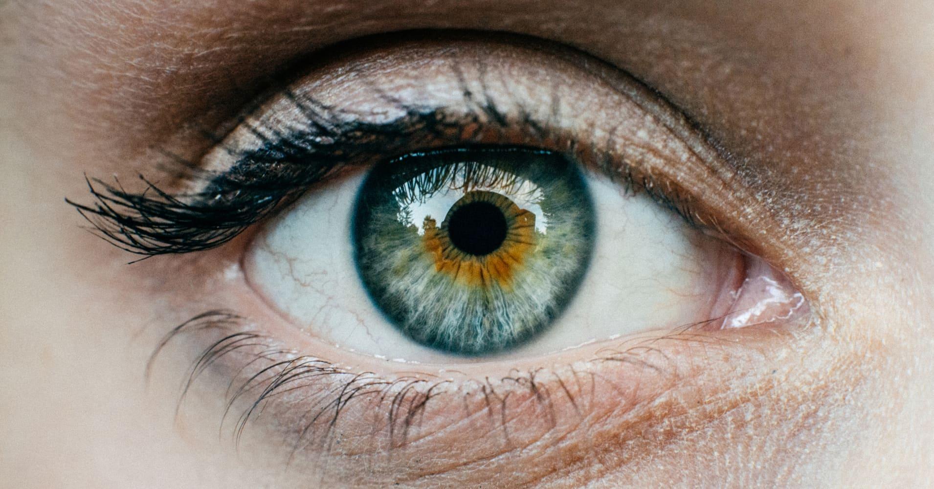 What Is the Correlation Between Light and Sight?