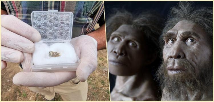 Gürcistan’da 1.8 Milyon Yıllık Diş Bulundu