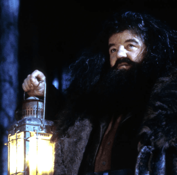 Harry Potter'da Hagrid'i Oynayan Aktör Robbie Coltrane'a Veda.