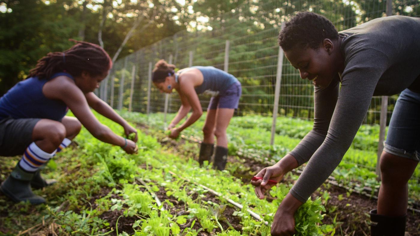To saving the nature what we are doing exactly?