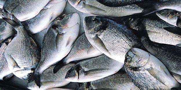 Balık Tüketmenin Faydaları