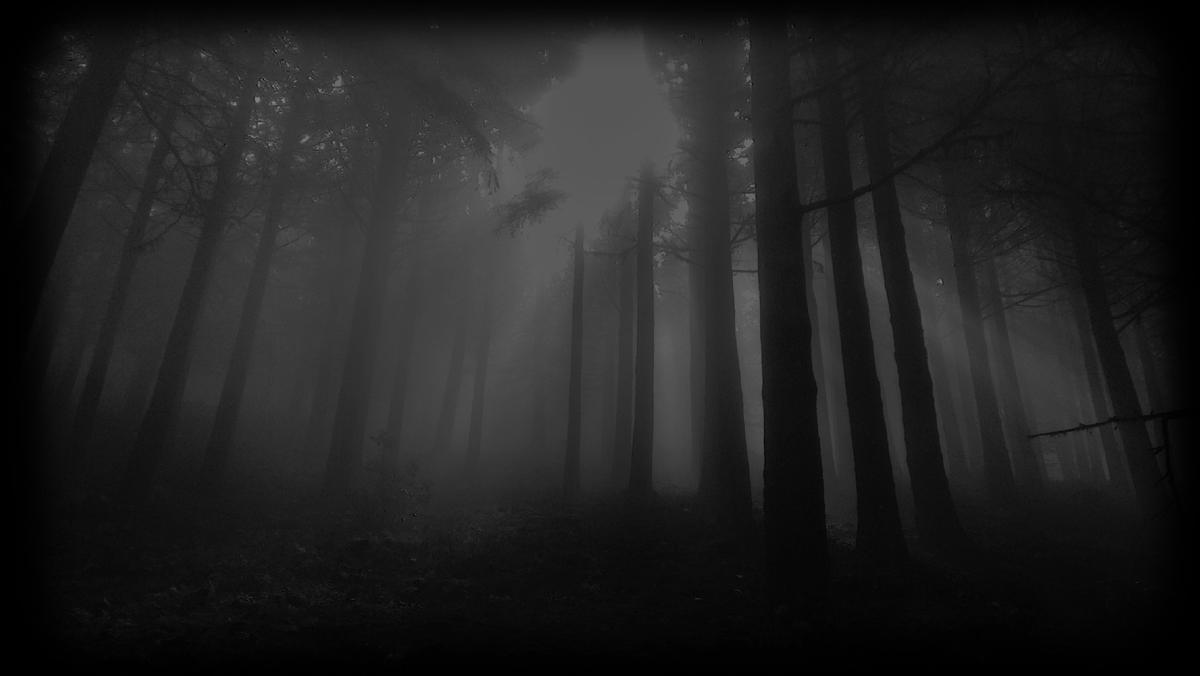 Bir Korku Severden En İyi Korku Serileri