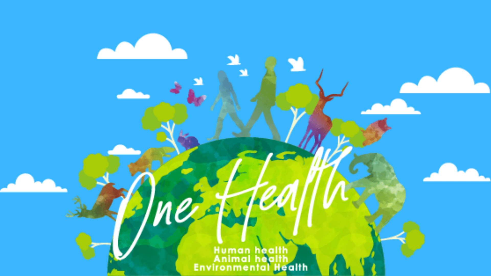 Tek Sağlık (One Health) Yaklaşımı Nedir?