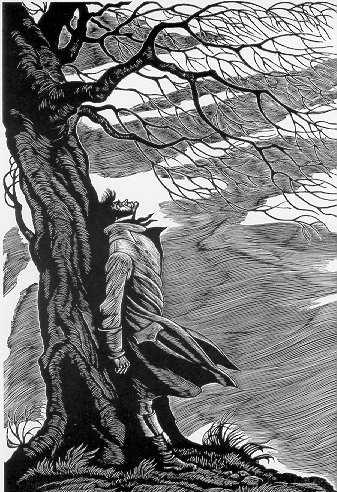 Uğultulu Tepeler: Heathcliff