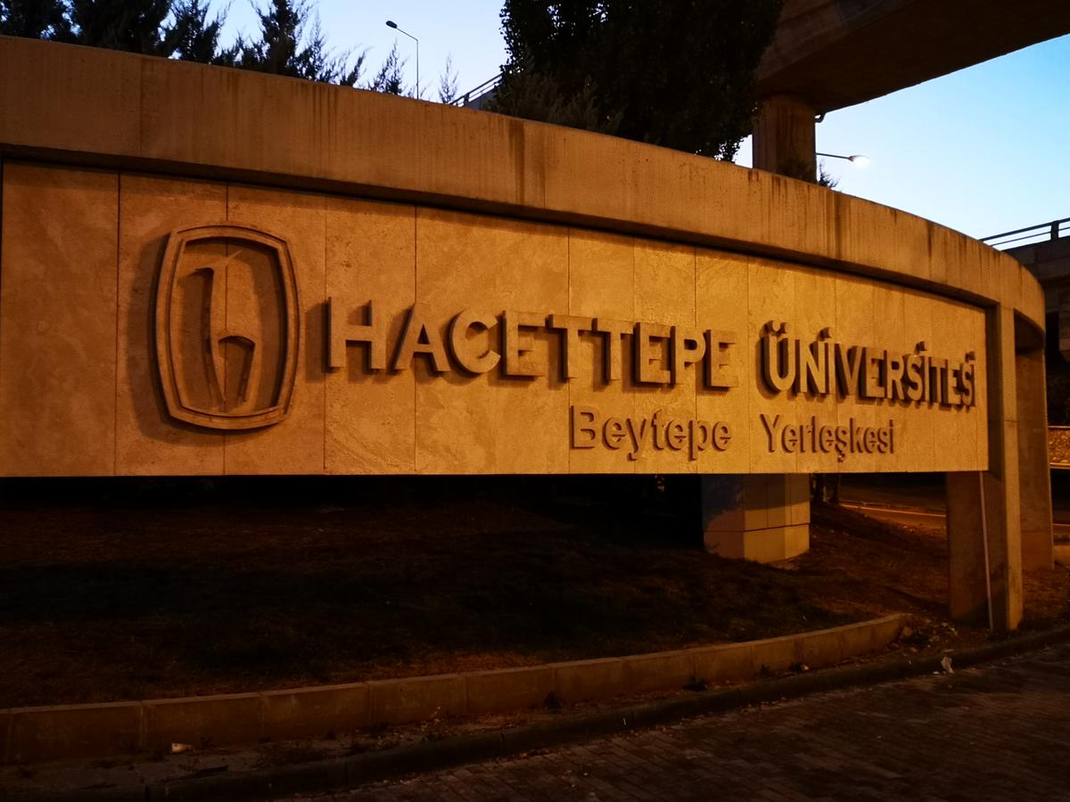 Hacettepe Üniversitesinde Bilgi ve Belge Yönetimi Bölümü Okumak
