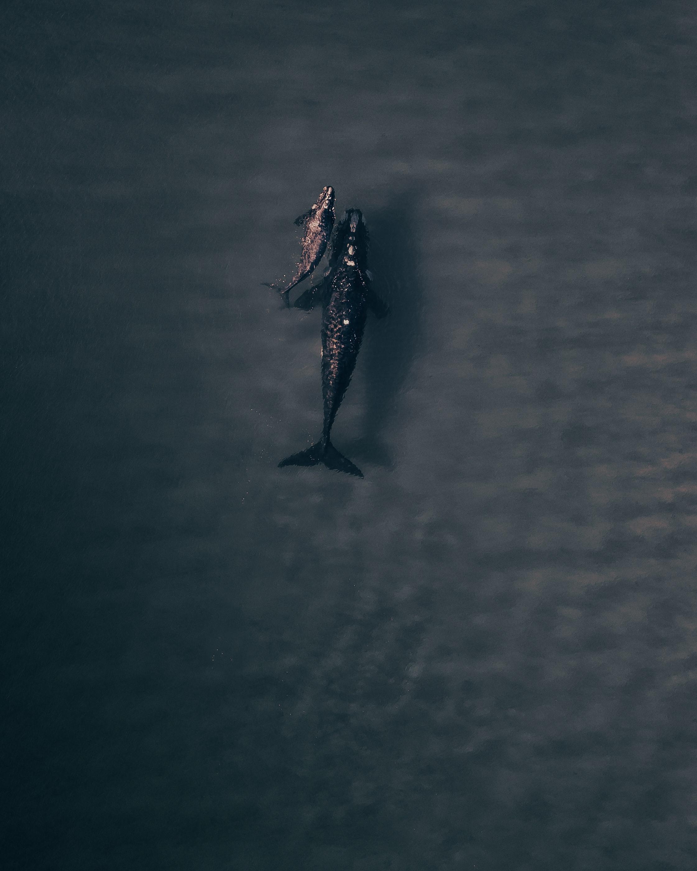 Netflix'te İzleyebileceğiniz Yedi Çok İyi Animasyon Filmi