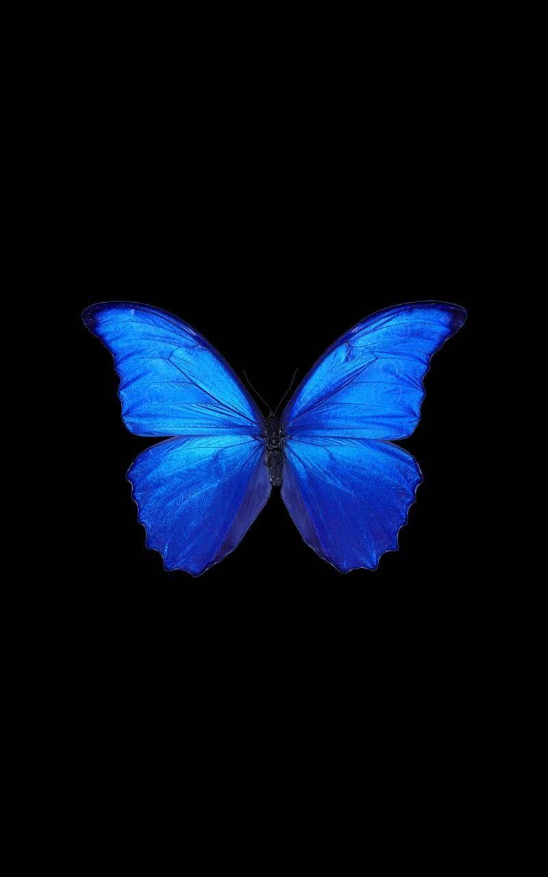 Soykırım Sadece Öldürmek Değildir