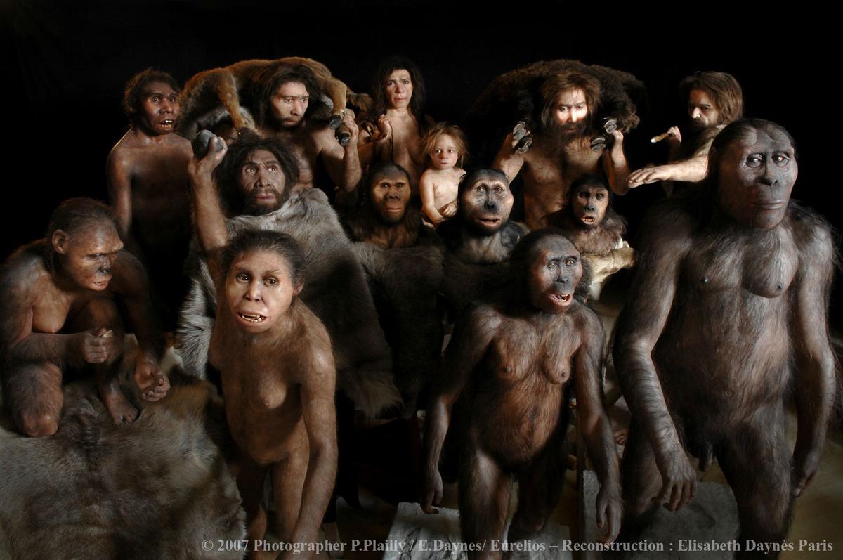 İlk insanlar ve insanlığın türleri