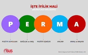 Mutluluk ve Kendini Geliştirme Teorisi: PERMA