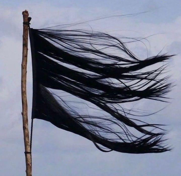 Iran and Feminist Contributions to the Peace System